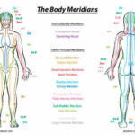 body meridians in chinese medicine and acupuncture diagram female.