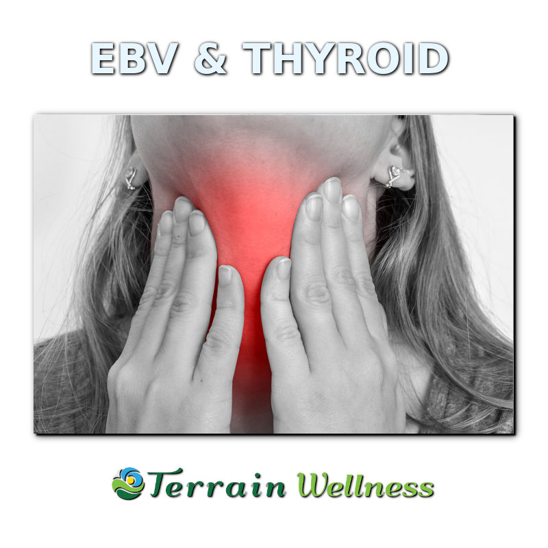 EBV and thyroid autoimmune conditions