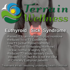 thyroid sick syndrome