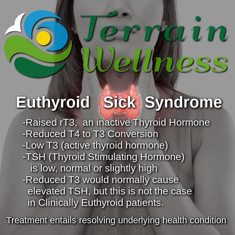 Euthyroid Sick Syndrome, clinically euthyroid. infographic explaining the condition