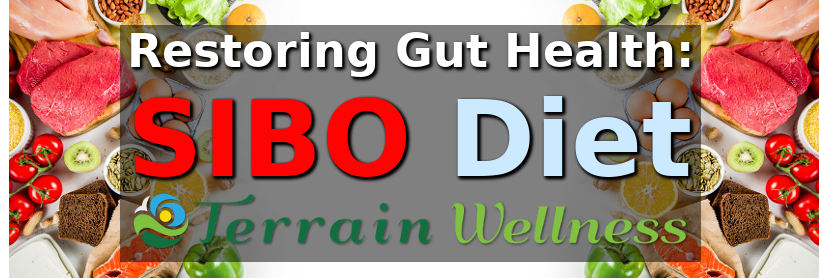 SIBO diet, gut health specialists 